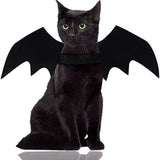 Kitty Cat Bat Wings Halloween Costume