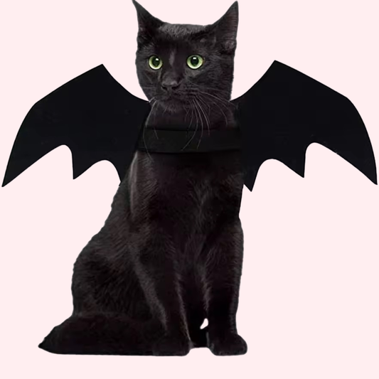 Black cat with green eyes models a black felt Bat Wing Halloween costume
