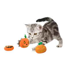 Halloween Jack-o’-lantern Small Cat Toy