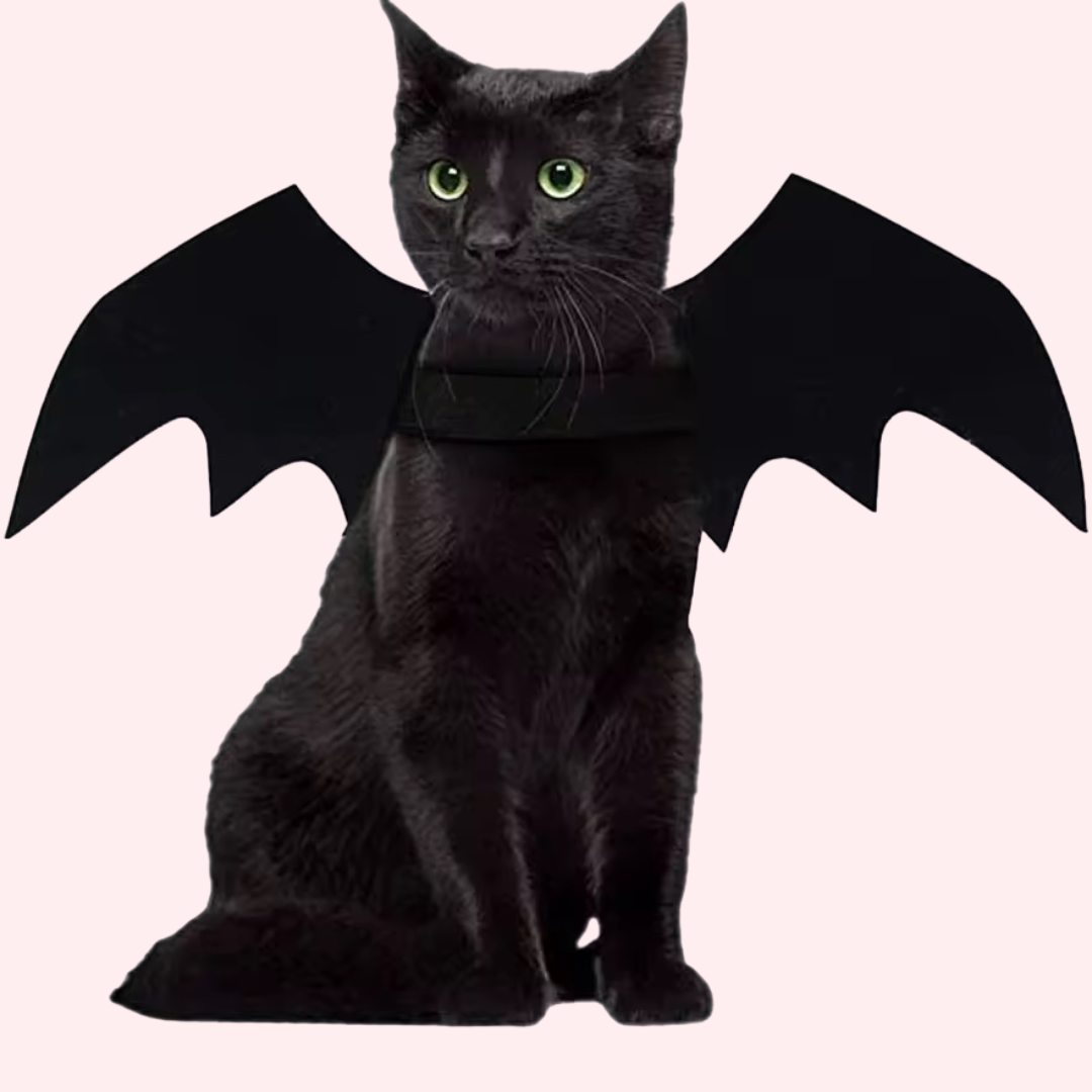 Kitty Cat Bat Wings Halloween Costume