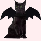 Kitty Cat Bat Wings Halloween Costume